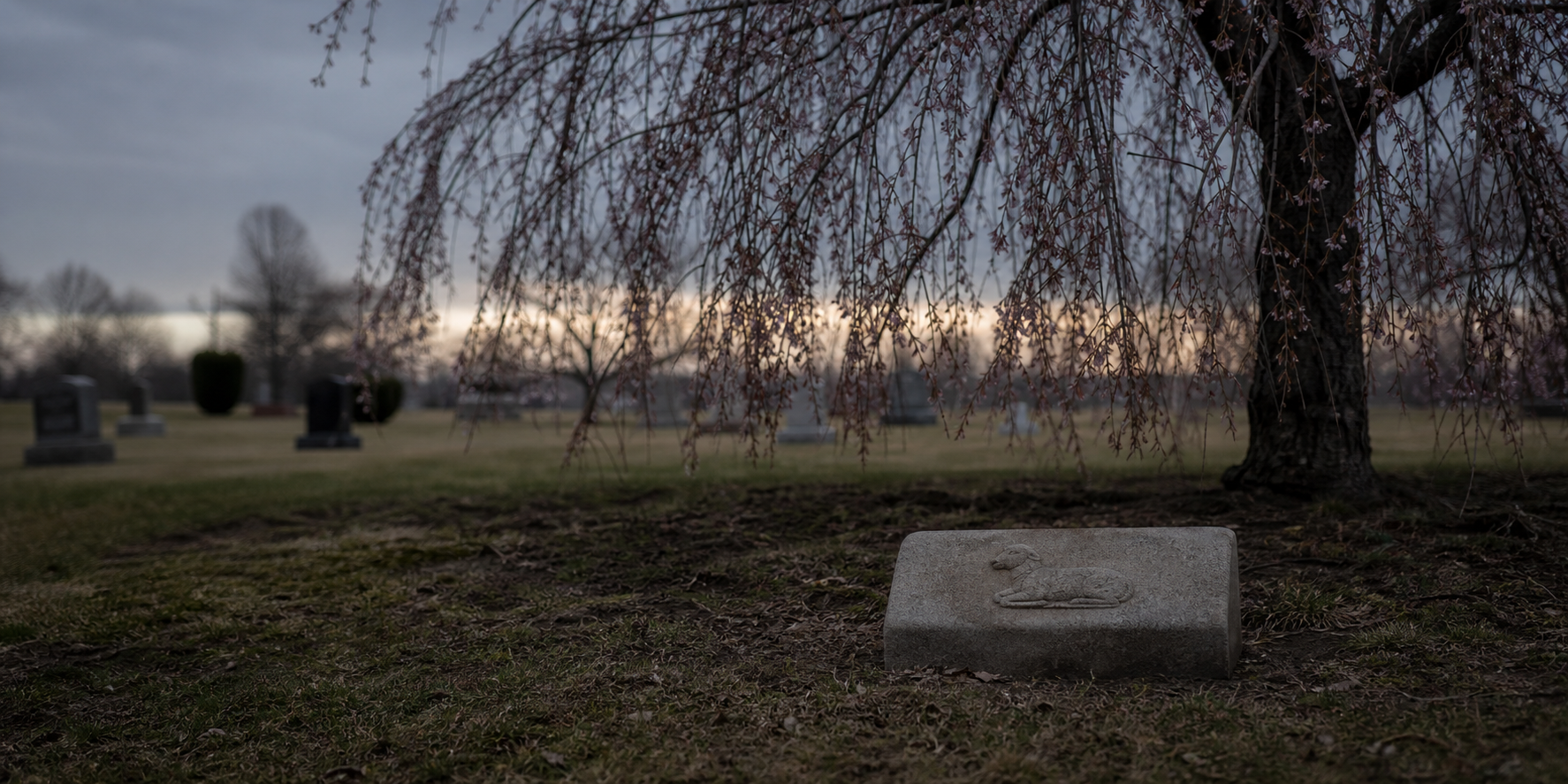 A small child's grave marker beneath a weeping cherry tree in a quiet Michigan cemetery.
