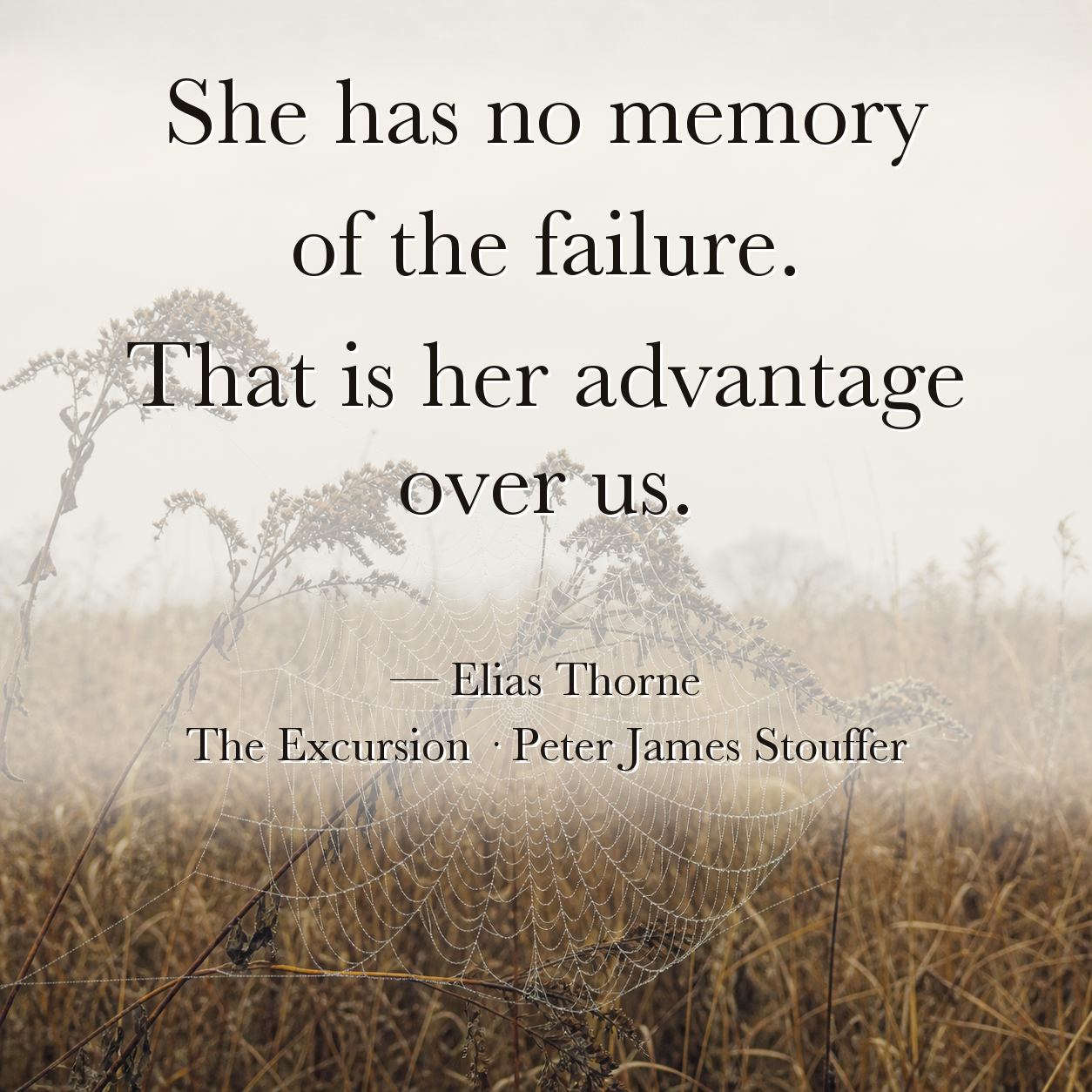 Quote image for The Excursion: She has no memory of the failure. That is her advantage over us.