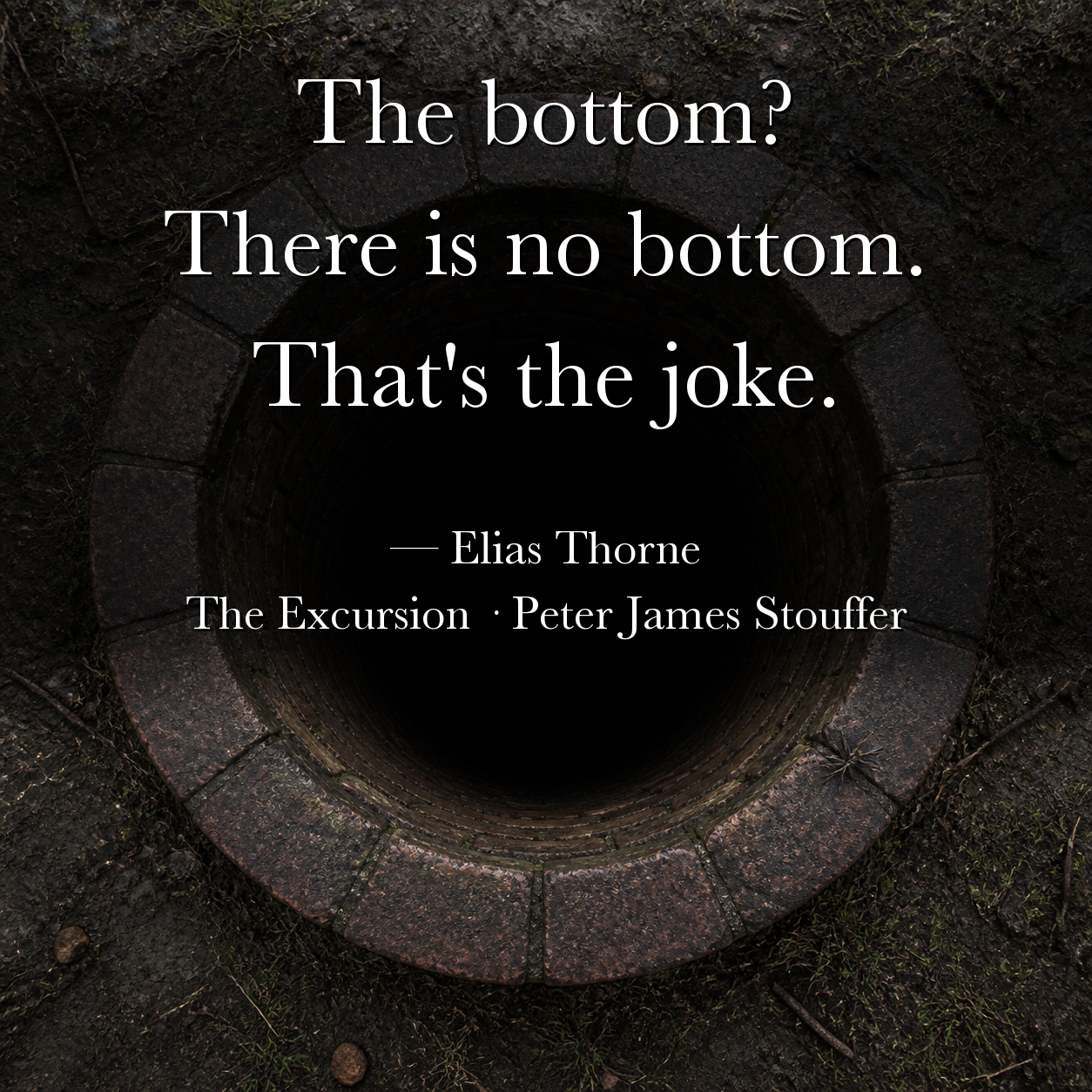 Quote image for The Excursion: There is no bottom. That's the joke.