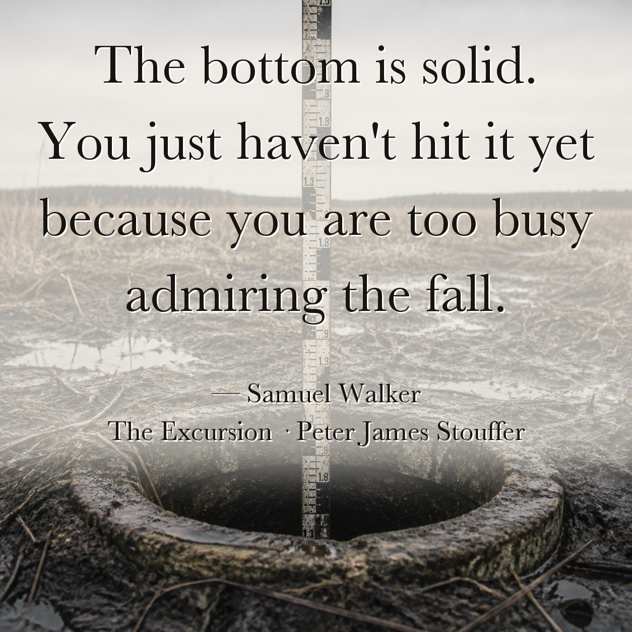Quote image for The Excursion: The bottom is solid. You just haven't hit it yet because you are too busy admiring the fall.