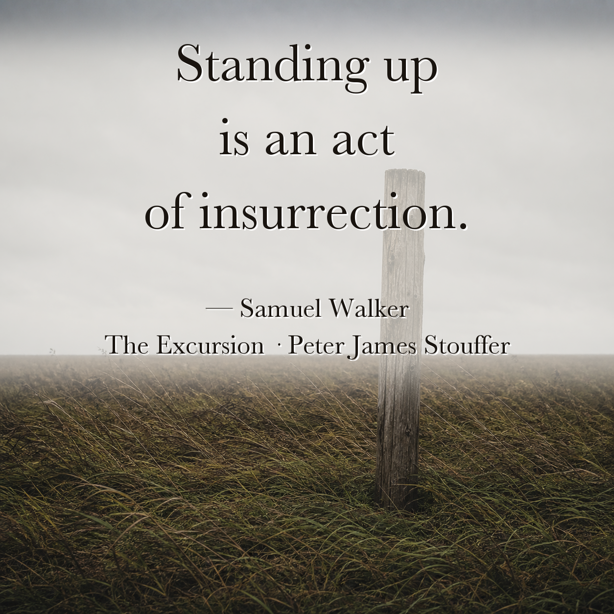 Quote image for The Excursion: The whole world is conspiring to lay you flat and cool you off. Standing up is an act of insurrection.